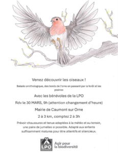 Balade ornithologique avec la LPO le 30 mars